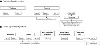 Sotalol Treatment may Interfere With Retrieval, Expression, and/or Reconsolidation Processes Thus Disrupting Traumatic Memories in a Post-Traumatic Stress Disorder Mice Model